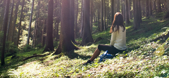 Nya priser och villkor 2026